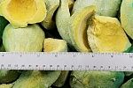 Авокадо половинки 10 кг