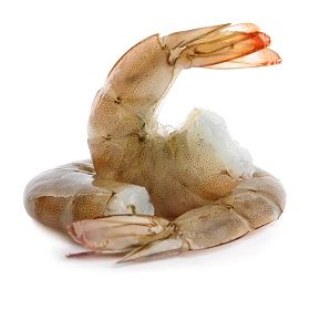 Креветки без головы во льду 26/30 AQUAMARR -1,8 кг, Эквадор