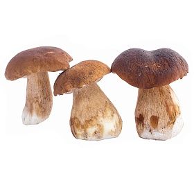 Грибы Белые целые отборные шляпка 4-6 см , 6кг