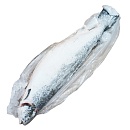 Семга потрошеная с головой 6-7кг Premium, Чили зам.