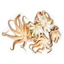 Мини-осьминоги 40/60 (1кг), глазурь 8%, Таиланд зам.