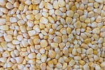 Кукуруза зерно 10кг, Индия