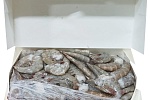 Креветки без головы во льду 21/25 AQUAMARR -1,8 кг, Эквадор