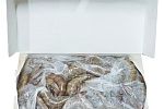 Креветки без головы во льду 21/25 - 10,8кг (6 шт х 1,8 кг ) AQUAMARR, Эквадор