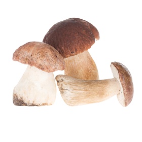 Грибы Белые целые Экстра шляпка 1-5 см, 5кг