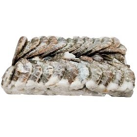 Креветки без головы во льду 26/30 AQUAMARR 1,8 кг, Вьетнам зам.