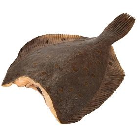 Камбала морская потрошеная без головы 300-500 г  12кг