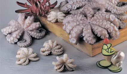 Моллюски, морская экзотика