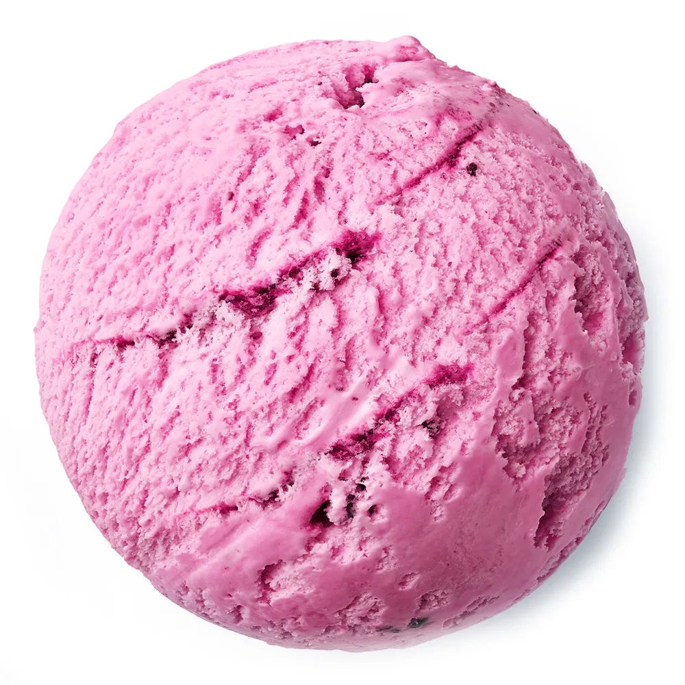 Сорбет лесные ягоды Ricci Gelato 4,65 л - 41900003 - купить оптом в Москве
